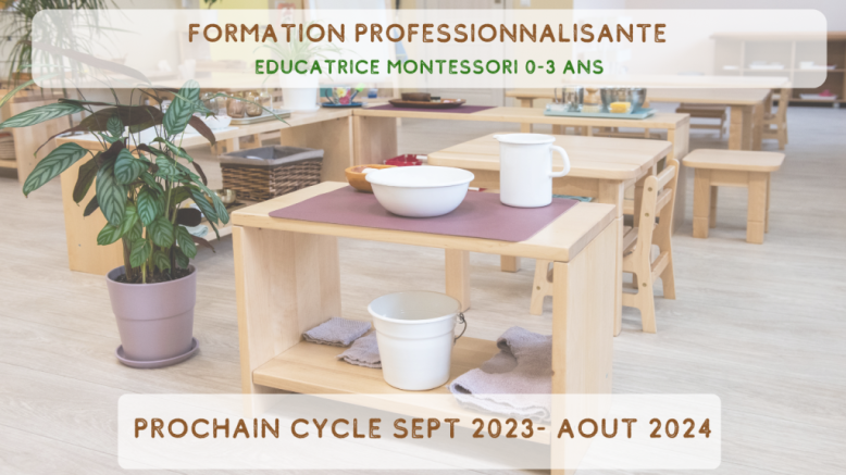 Formation professionnalisante Formation Professionnelle Educateur Montessori 0-3 ans