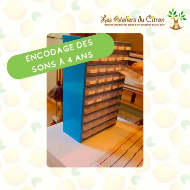 Comment adapter l’environnement éducatif aux besoins des 3-6 ans ? Grâce à cette formation, vous comprendrez mieux le fonctionnement de chaque enfant pour ajuster vos pratiques pédagogiques. Rejoignez-nous pour deux semaines de découverte, de manipulations et de pratique ! #formationmontessori #montessori3-6ans #pedagogiemontessori #montessori #lesateliersducitron  Formation aimablement accueillie par @associationtourbillon