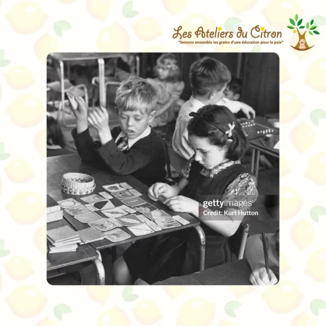 🎓 Pourquoi se former à la pédagogie Montessori ? Pour aider vos élèves à devenir plus autonomes, confiants et motivés. 

Pour les aider à construire le monde dans lequel ils vivront. Que celui-ci soit plus juste, plus beau, plus doux, et surtout, qu’il aille vers la paix. 

Il ne s’agit pas juste d’une pédagogie, ou de matériel, ou d’une salle. Il s’agit d’une posture, d’un savoir-être qui se transmet et qui rayonne, qui modélise, et qui accompagne.

#formationmontessori  #montessori3-6ans  #pedagogiemontessori  #montessori  #lesateliersducitron 

Formation aimablement accueillie par @associationtourbillon