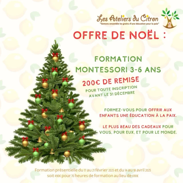 🎅 c’est le moment de faire votre liste au père noël ! Faites vous offrir (ou offrez vous) une nouvelle approche éducative pour Noël. Vous apprendrez à  développer des pratiques éducatives basées sur l’autonomie et la bienveillance.
🤩 Notre formation Montessori 3-6 ans passe à 490€ au lieu de 690€. 

Parce que rendre l’éducation à la paix accessible à tous et toutes est ma priorité. 

Parce que j’ai la chance d’avoir des partenaires en or (@associationtourbillon ) qui me donnent l’accès à des salles canon à prix dérisoire, je peux me permettre de vous faire cette offre.

Profitez-en avant le 31 décembre! 
#formationmontessori  #montessori3-6ans  #pedagogiemontessori  #montessori  #lesateliersducitron